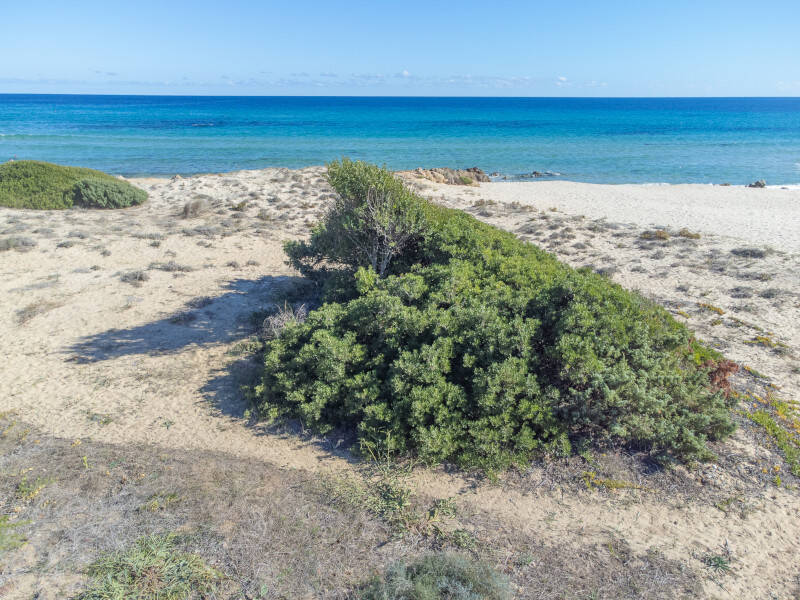 Villa Aurosa a Costa Rei, Domus Tour - Villa di lusso sul mare