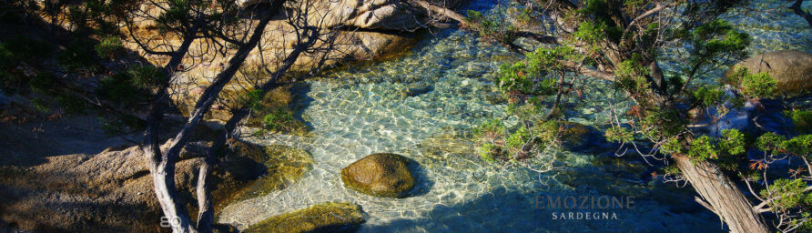 Emozione Sardegna e Domus & Tour